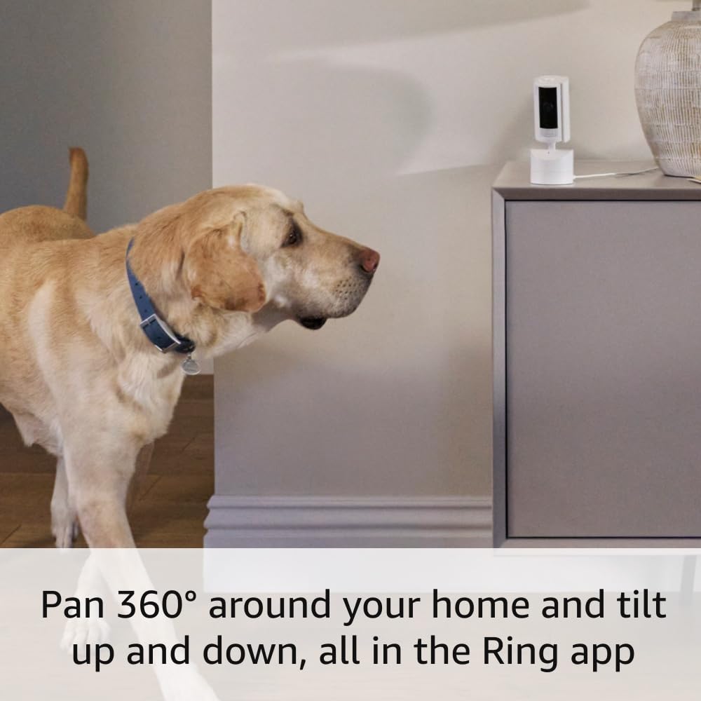 Ring Pan-Tilt Indoor Cam (newest model), See all around your home or business with 360° pan coverage, HD video, plus Two-Way Talk, White