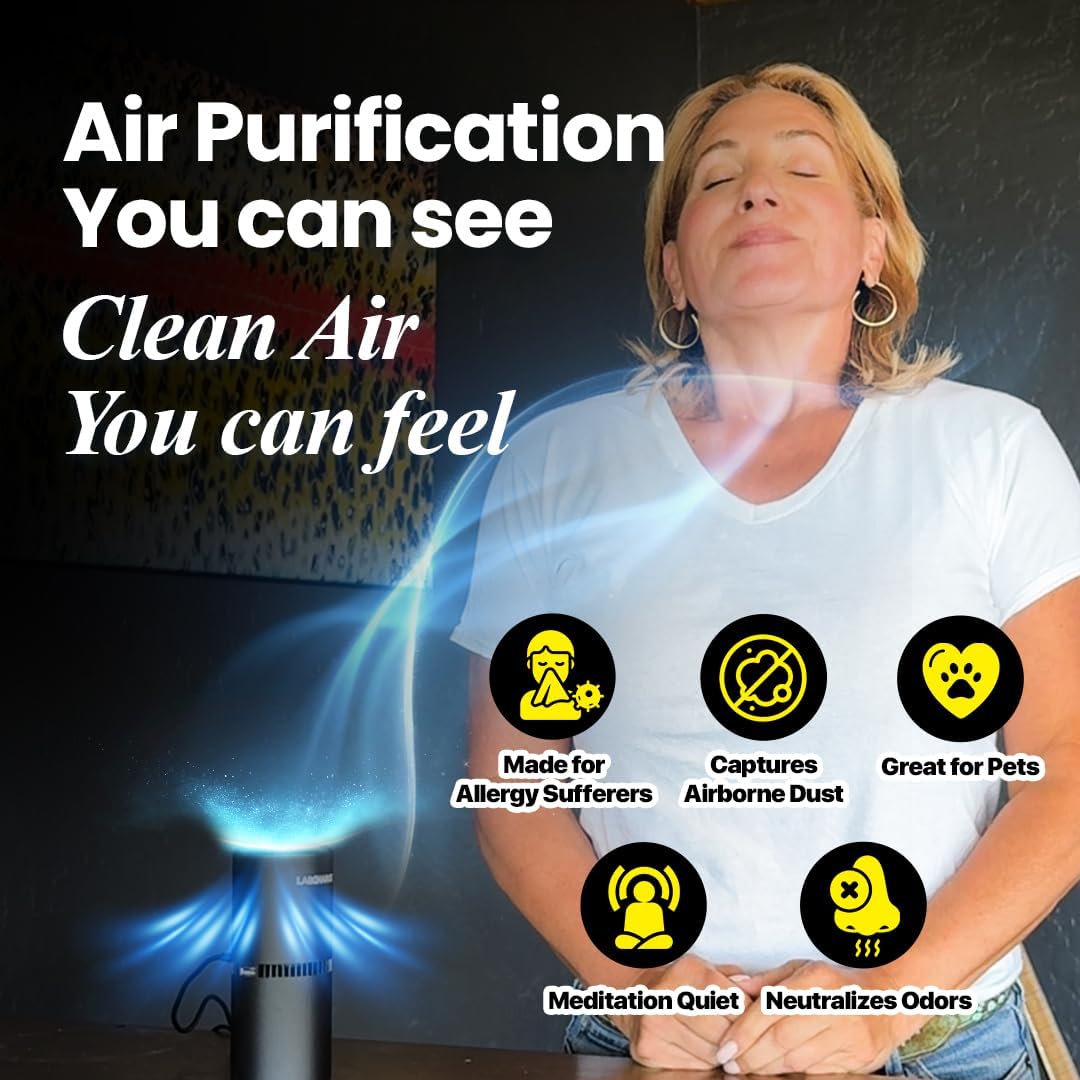 LabCharge Small Ionic Air Purifier for Home & Bedroom – Silent HEPA Filter – Covers 250 Sq Ft – For Pet Hair, Smoke, Dust, Odors & Dander – Compact Black Design – Pack of 5