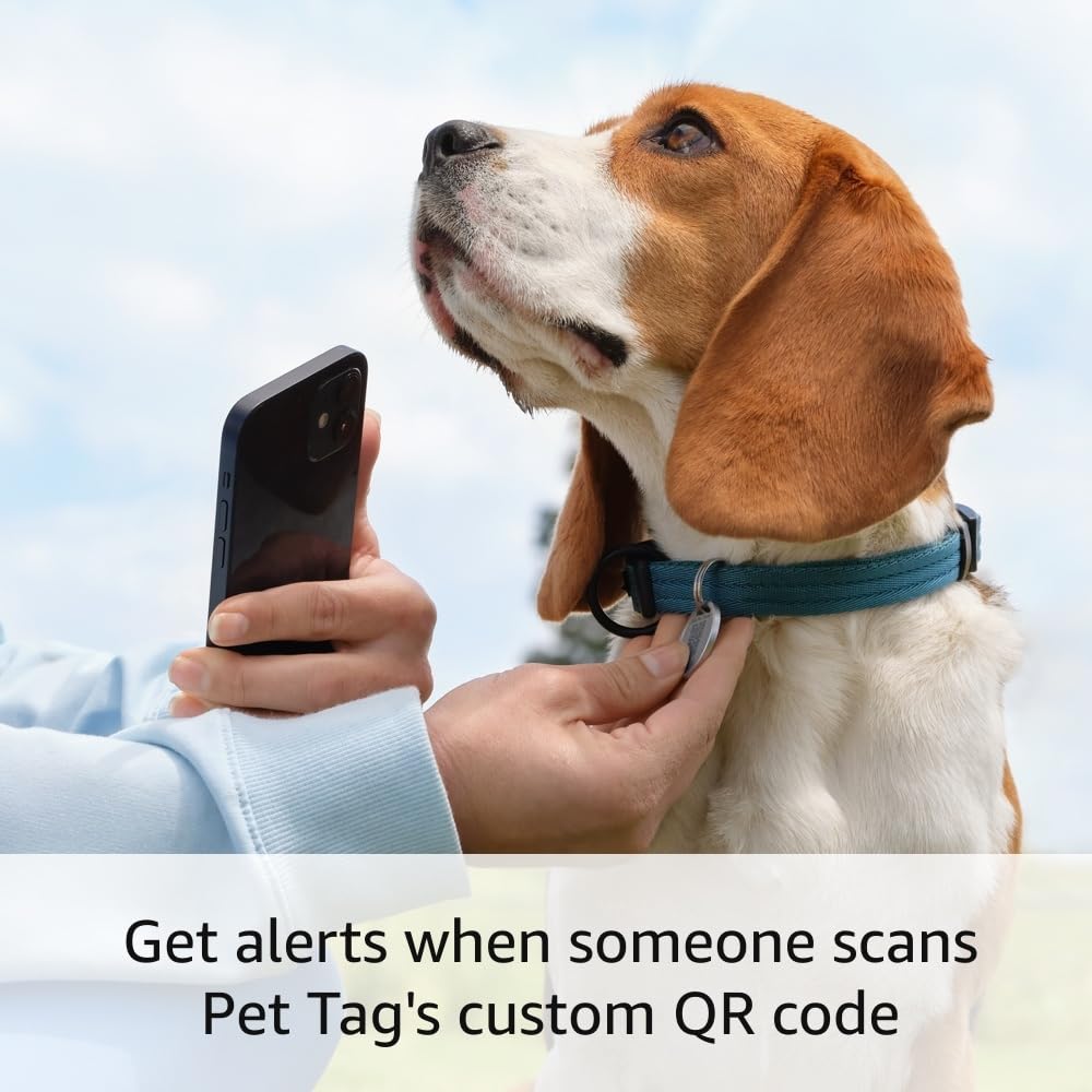 Ring Indoor Cam (2nd Gen), White with Ring Pet Tag