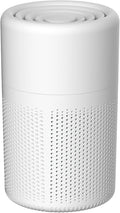 Small Air Purifier for Home Bedroom, HEPA Filter Air Cleaner, Quiet Operation, Removes Dust, Smoke, Odor, Pollen & Pet Dander