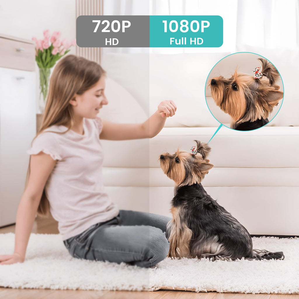 litokam Indoor Cameras for Home Security with Night Vision, Pet Camera with Phone App, WiFi Home Security Camara, Baby Monitor Work with Alexa, Motion Detection, 2 Pack, 2K